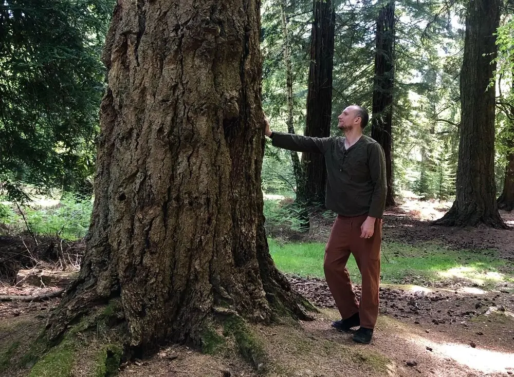 Adam Arcturus beside an ancient tree in the forest